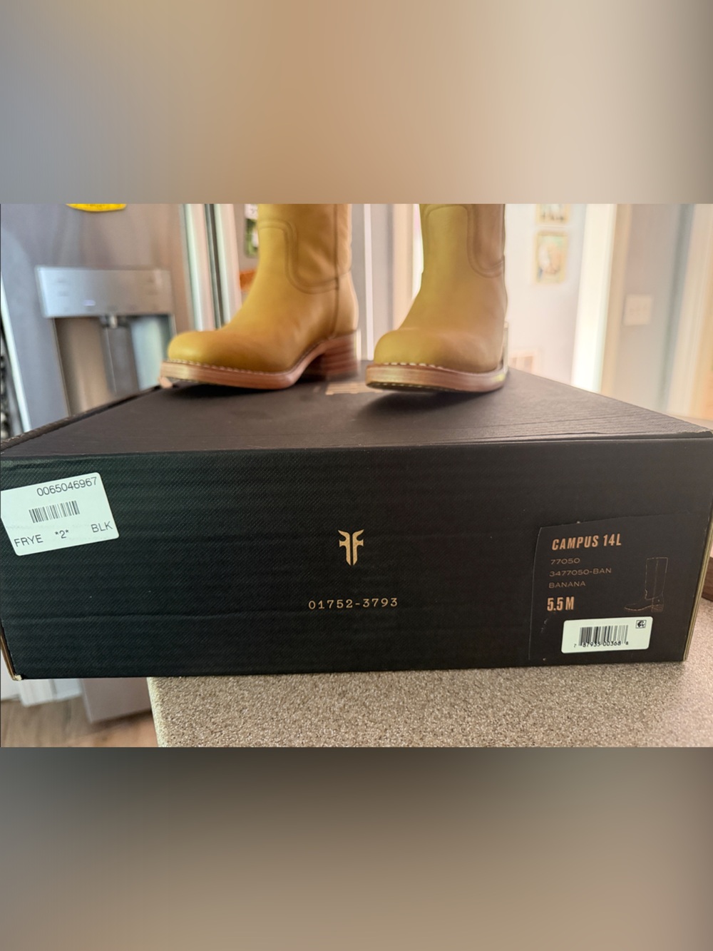 Guaranteed Authentic Frye Banana Leather Campus 14L Knee-High Boots NIB - Picture 3 of 9